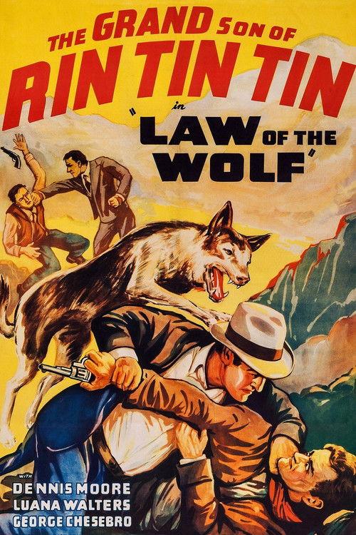 Law of the Wolf 1939 official movie poster