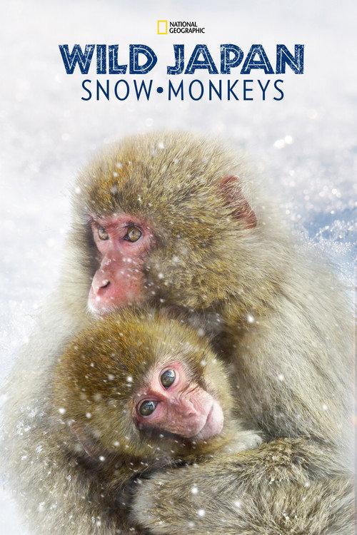 Wild Japan: Snow Monkeys 2014 official movie poster