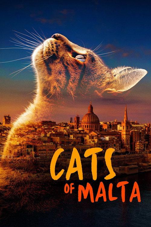 Cats of Malta 2022 official movie poster