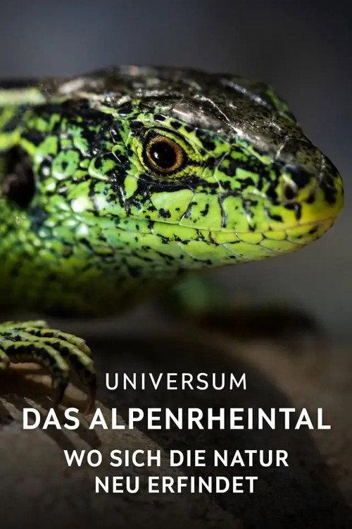 Das Alpenrheintal – Wo sich die Natur neu erfindet 2025 official movie poster