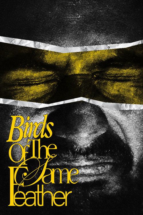 Birds Of The Same Feather. 2024 official movie poster