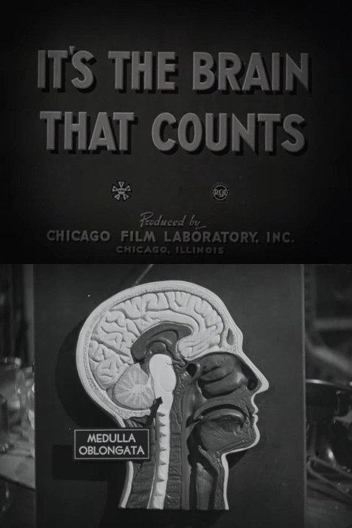 It's the Brain That Counts 1943 official movie poster