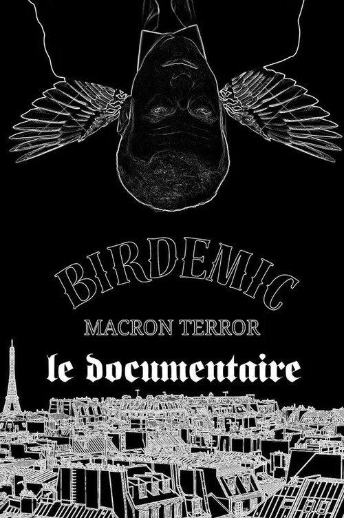 Birdemic Macron Terror : Le Documentaire "Bigger Than Life" 2026 official movie poster
