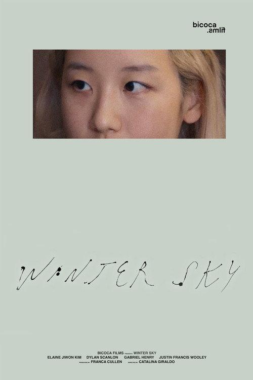Winter Sky 2025 official movie poster