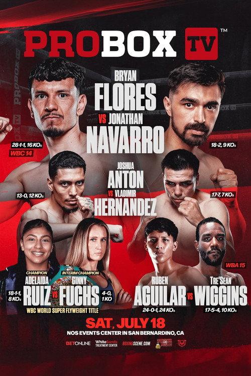 Bryan Flores vs. Jonathan Navarro 2026 official movie poster