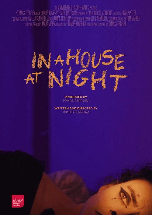 In a House, At Night 2023 official movie poster