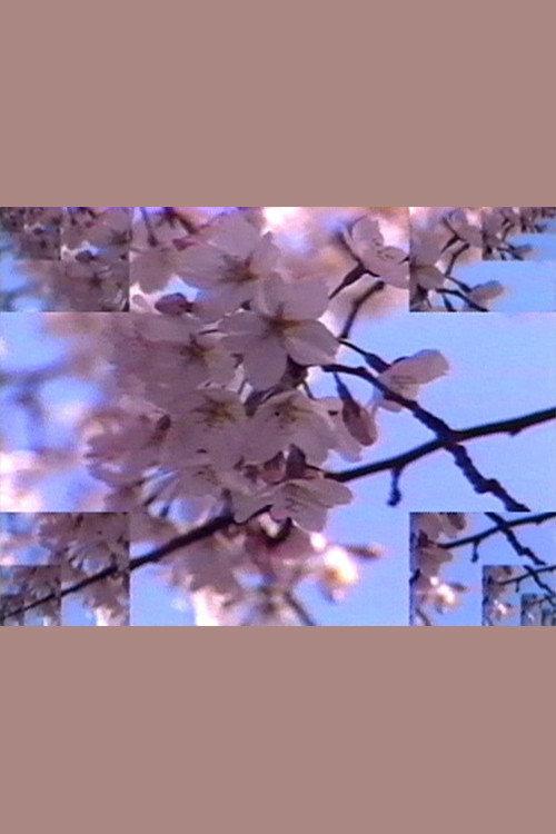 Rock Video: Cherry Blossom 1986 official movie poster