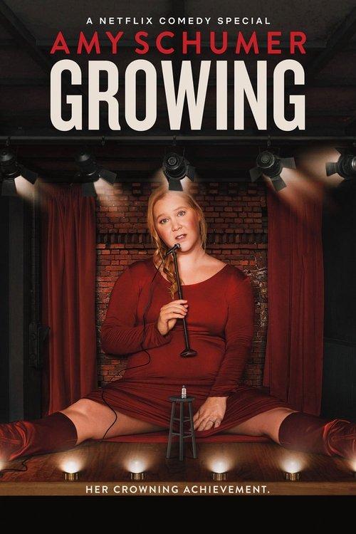 Amy Schumer: Growing 2019 official movie poster
