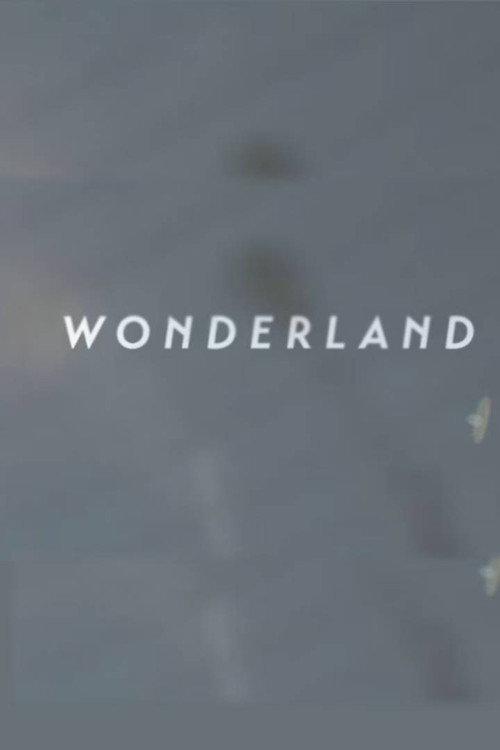 Wonderland | A Short Form Doc on Creative Commerce official movie poster