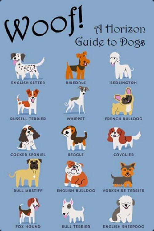 Woof! A Horizon Guide to Dogs 2012 official movie poster