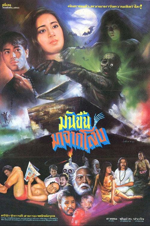 It Rose from the Coffin 1991 official movie poster