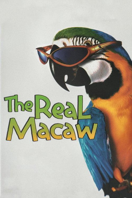 The Real Macaw 1998 official movie poster