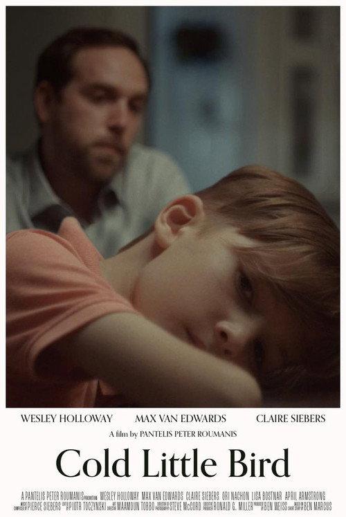 Cold Little Bird 2022 official movie poster
