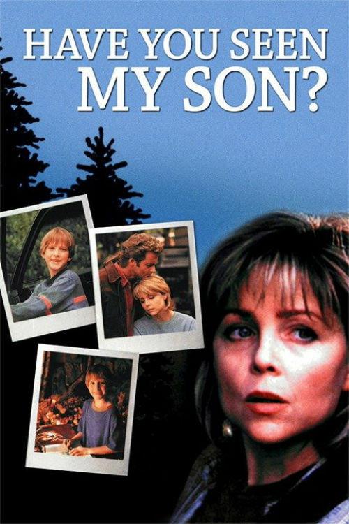 Have You Seen My Son 1996 official movie poster