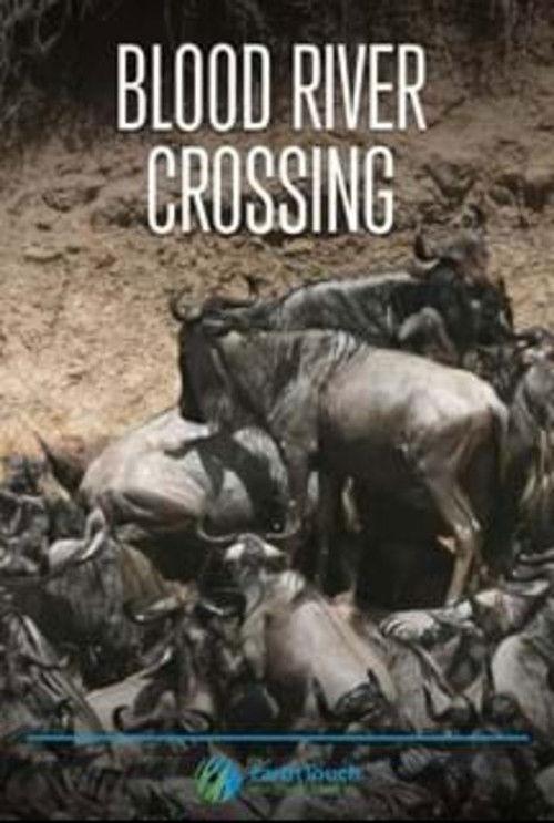 Blood River Crossing 2013 official movie poster
