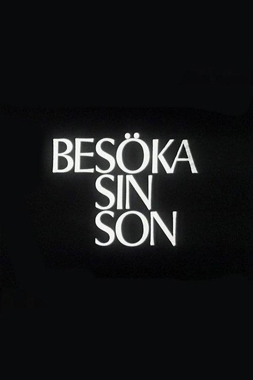 Visiting One's Son 1967 official movie poster
