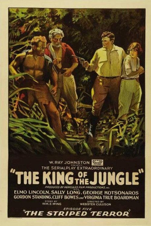 The King of the Jungle 1927 official movie poster