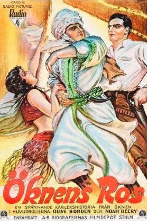 Love In The Desert 1929 official movie poster