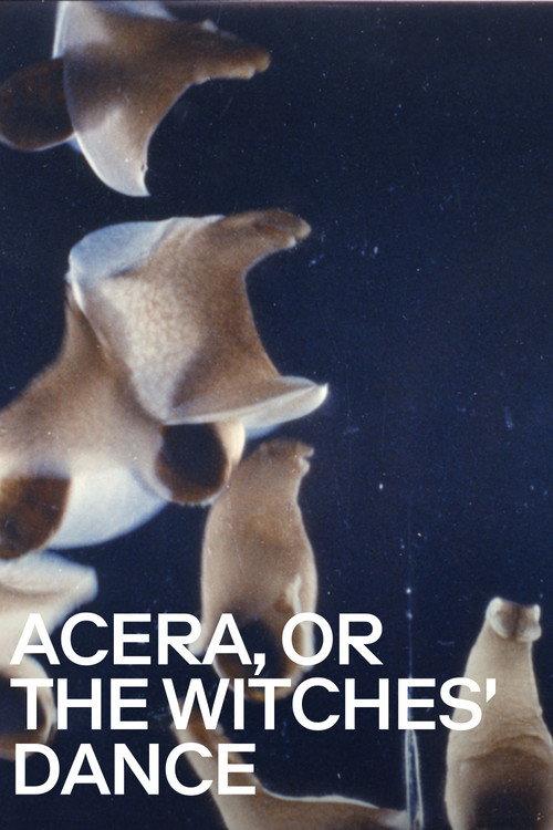 Acera, or the Witches' Dance 1972 official movie poster