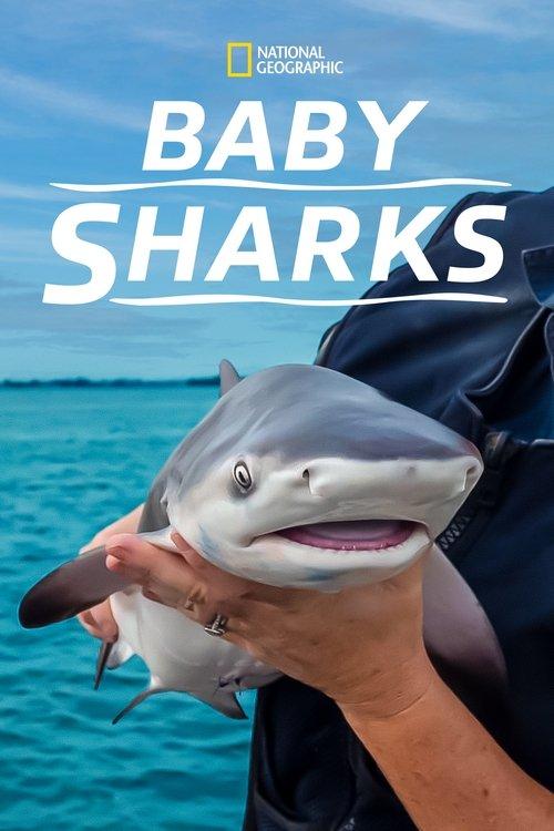 Baby Sharks 2022 official movie poster