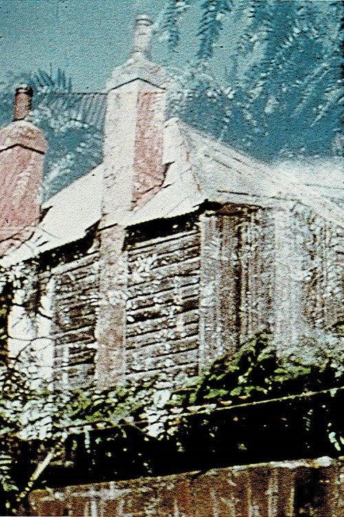 Backyard 1976 official movie poster