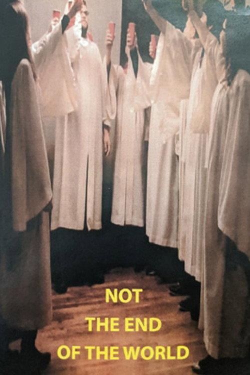 Not the End of the World 2013 official movie poster