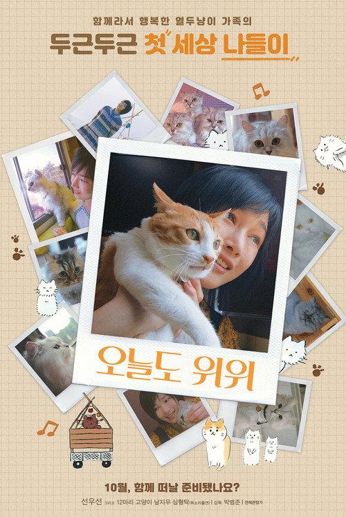 The Journey of the 12 Cats 2019 official movie poster