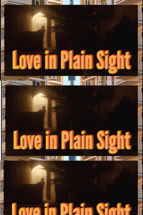 LOVE IN PLAIN SIGHT 2021 official movie poster