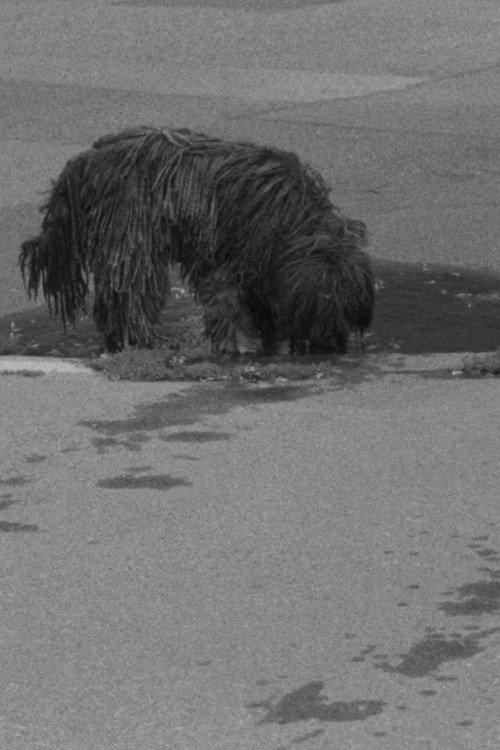 Puddles, I Don't Know 2018 official movie poster