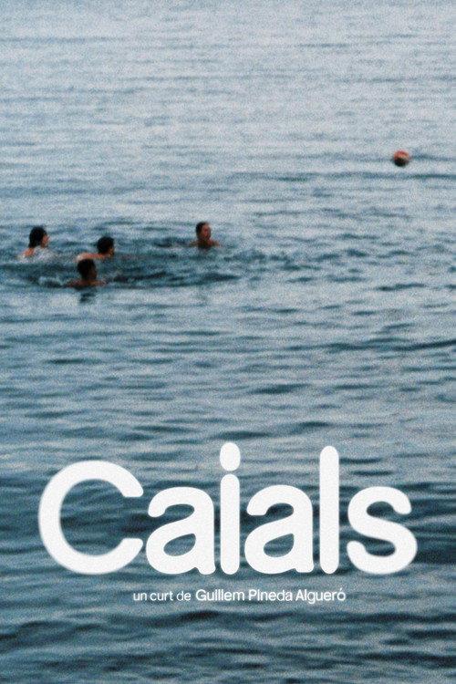 Caials 2024 official movie poster