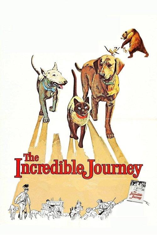 The Incredible Journey 1963 official movie poster