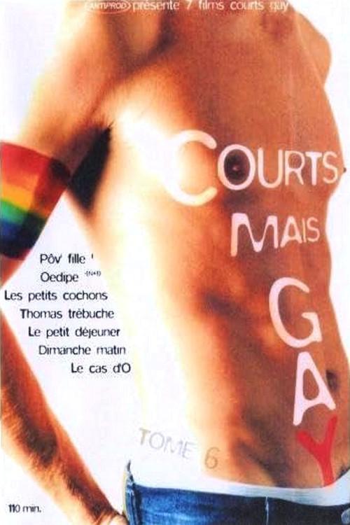 Courts mais Gay : Tome 6 2003 official movie poster