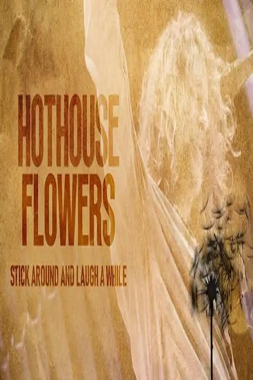Hothouse Flowers: Stick Around and Laugh a While 2024 official movie poster