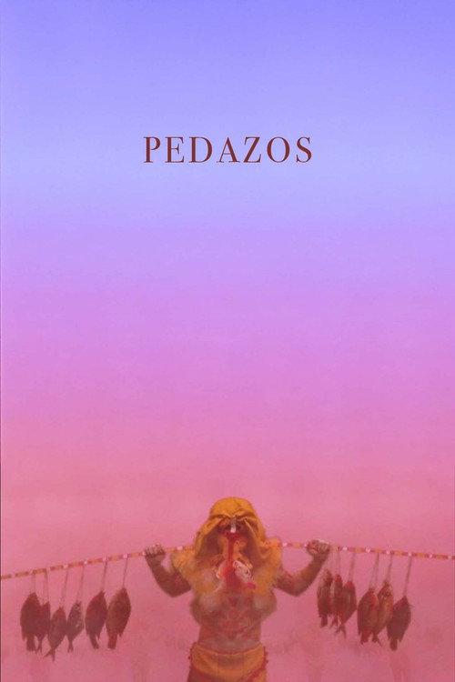 Pedazos 2016 official movie poster