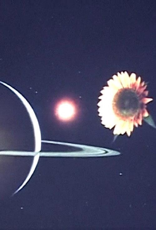 Cosmic Emptiness 2005 official movie poster