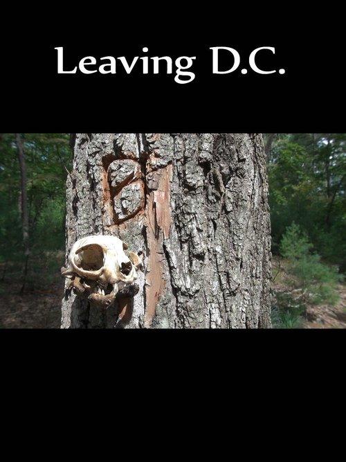 Leaving D.C. 2013 official movie poster