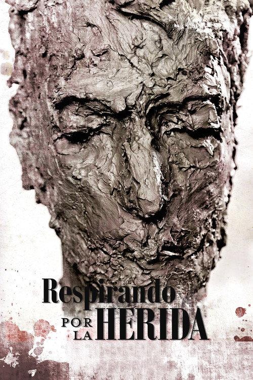 Respirando por la herida 2013 official movie poster