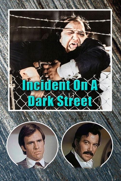 Incident on a Dark Street 1973 official movie poster