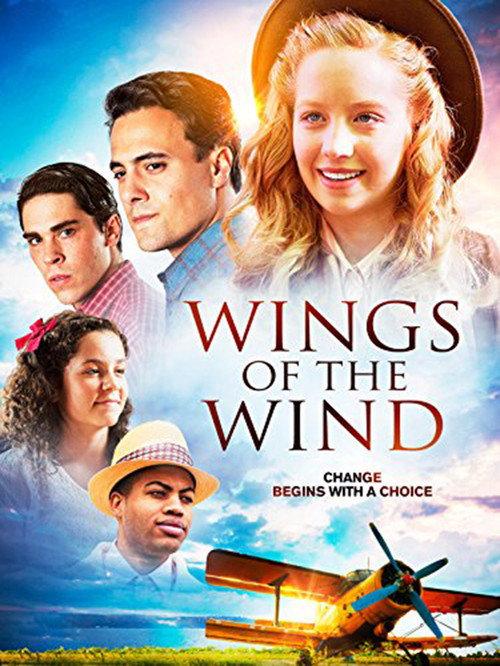 Wings of the Wind 2015 official movie poster