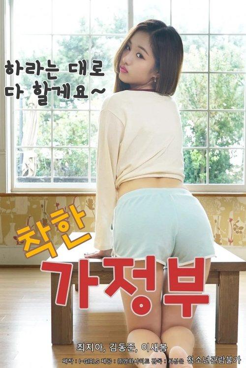 A Nice Housekeeper 2020 official movie poster