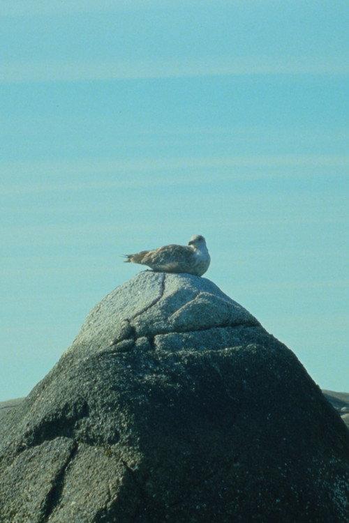 Tide Pools 2023 official movie poster