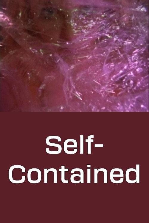 Self-Contained 2004 official movie poster