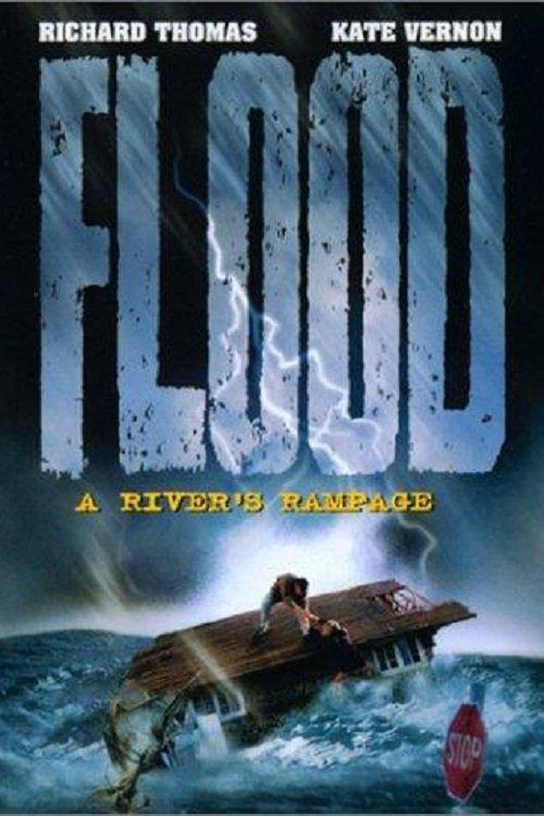 Flood: A River's Rampage 1997 official movie poster