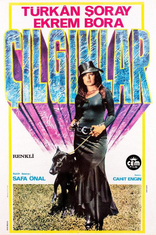 Crazy People 1974 official movie poster