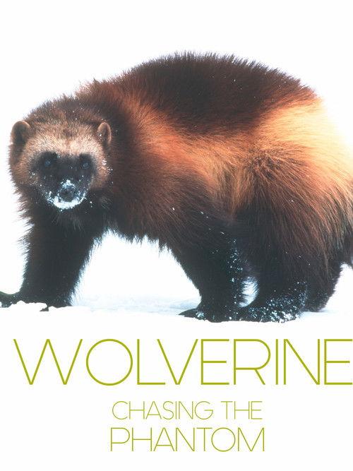 Wolverine - Chasing the Phantom 2010 official movie poster