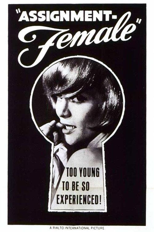 Assignment: Female 1966 official movie poster