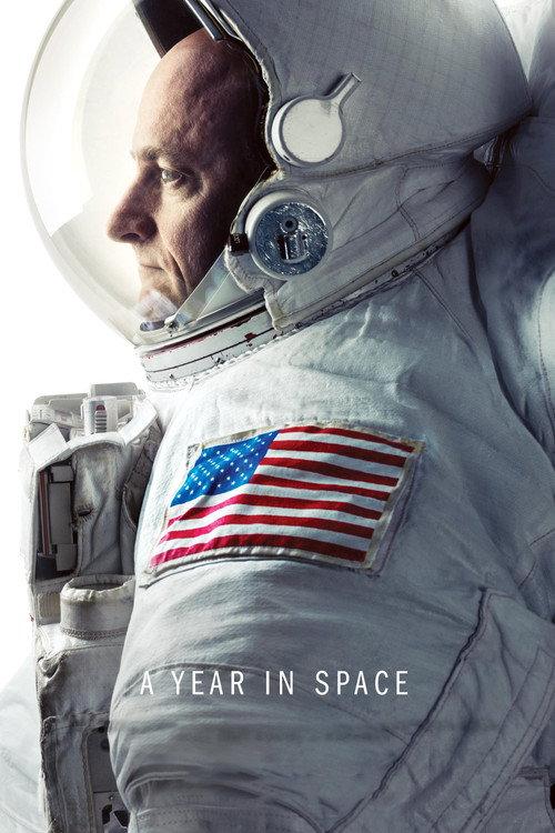 A Year in Space 2016 official movie poster