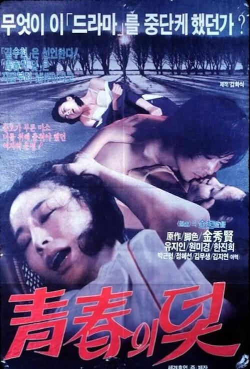 The Trappings of Youth 1979 official movie poster