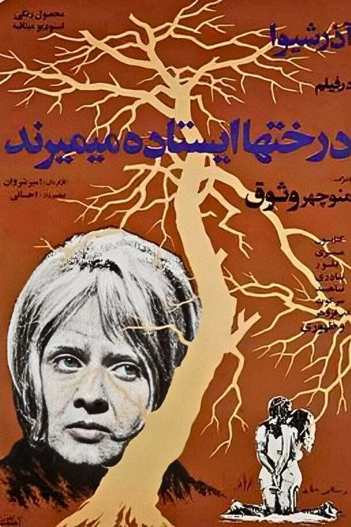 Trees Die Standing 1971 official movie poster