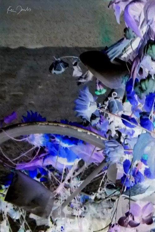 Flowers and Bike 2020 official movie poster